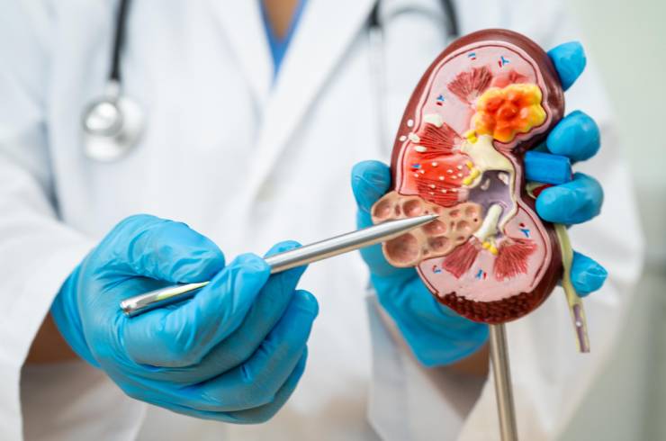 Nephrology